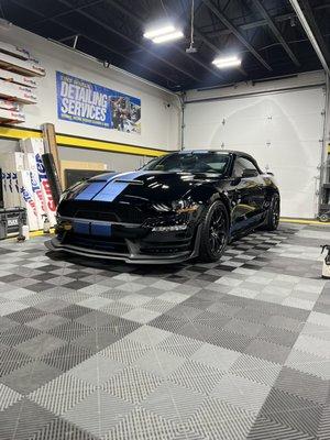 23' Mustang Shelby Super Snake Paint Correction