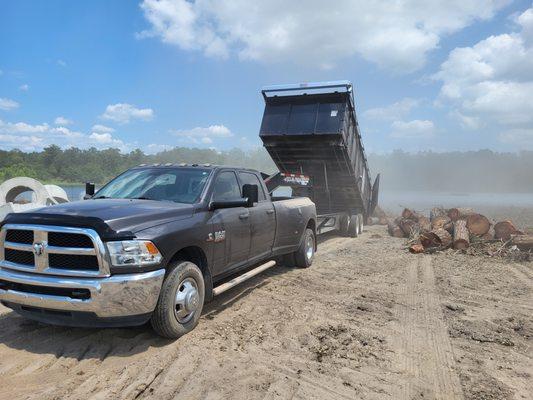 DUMPING TREE LOGS WITH BIG TRAILER