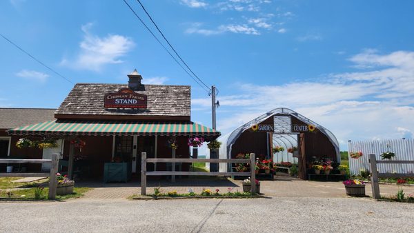 Chipman Farm Gray Stand