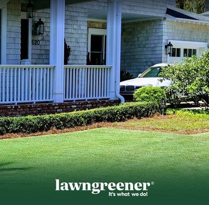 Lawn Care Jacksonville FL