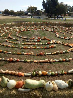 Meditative squash labyrinth