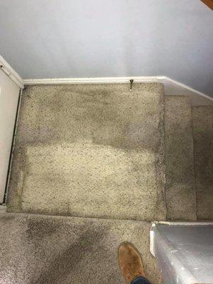 On The Spot Carpet Cleaner located in Pleasant Grove Utah serves Salt Lake City, South Jordan, Herriman, Sandy, Murray, and T...