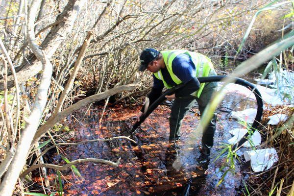 Oil spill remediation in a pond