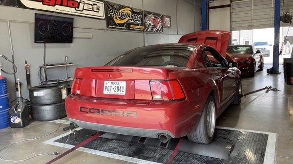 My 03 Cobra on the dyno