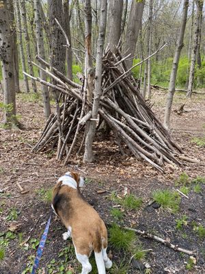 Stick teepee at the start of trails