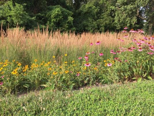 Landscaping at the NW end of the park