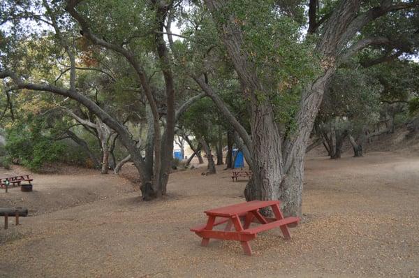 Many well-shaded and private campsites