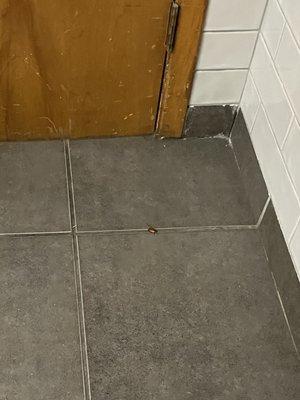 They have Cockroaches everywhere in the building restrooms break room hallways .