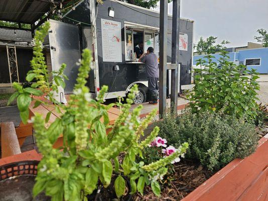 Home-grown herbs in front of the taco truck that started it all