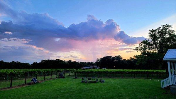 Sunsets in the vines.