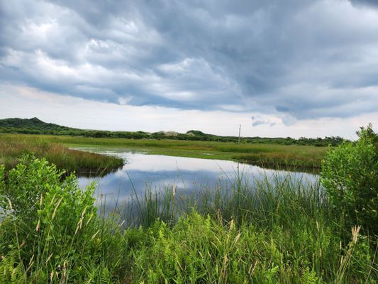 Gorgeous bay and wetlands.