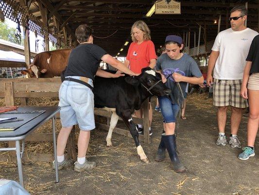 The charms of a local 4H fair