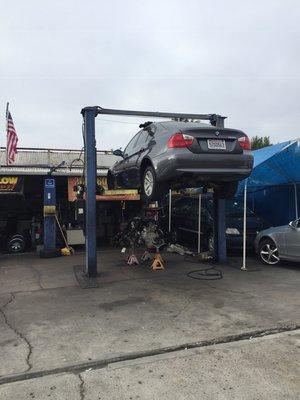 We do engine replacements for the car that need it.