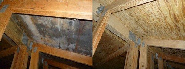 Attic mold remediation. Before & After.