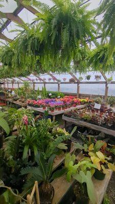 Angle Acres Greenhouse