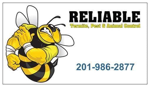 Reliable Pest and Animal