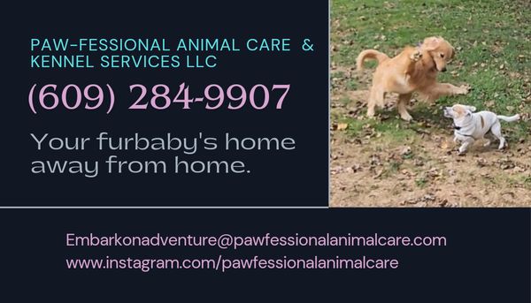 We offer boarding, daycare, training, and more!