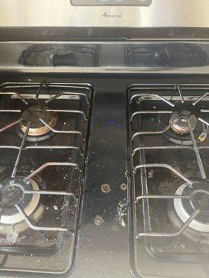 Deep cleaning oven