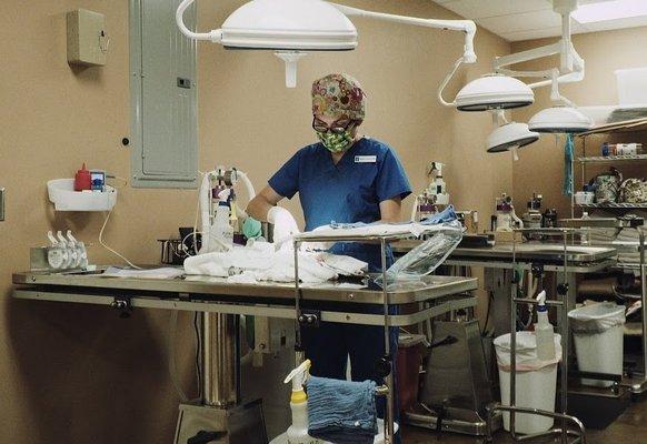 Primary Contract Veterinarian Dr. Megan Craven performing spay surgery on a cat