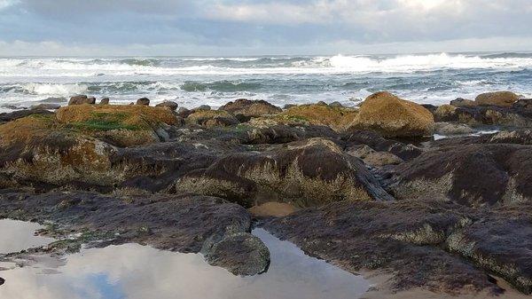 The Tide Pools