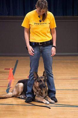 Master Trainer, Stefanie Kitcher & Drakarah in Guard Position