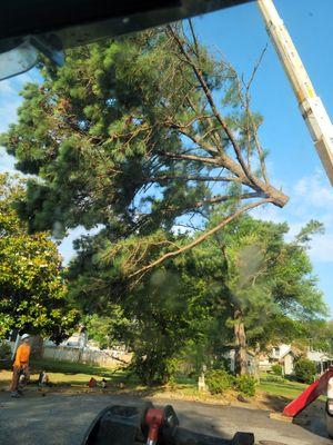 Poquoson Tree And Crane Service