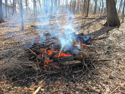 Volunteer Workday brush pile burn.