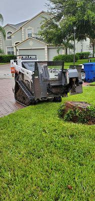 Stump Grinding