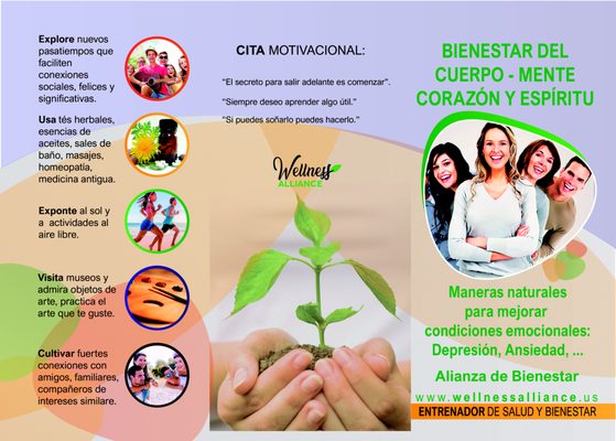 Wellness Brochure in Spanish on Mental Health