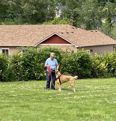 Lola training A fearful dog