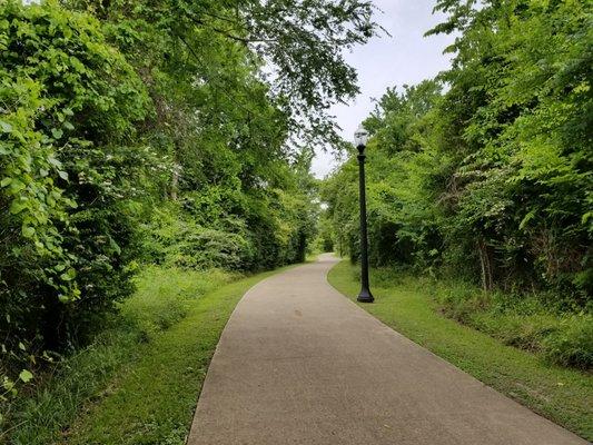 Biking and walking trail in the park