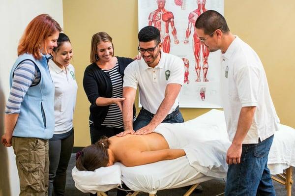 Be Trained by Passionate Experts in the Field of Massage Therapy.