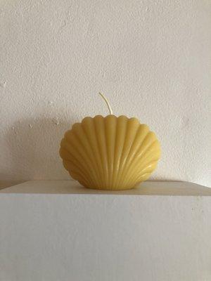 Bees wax shell candle