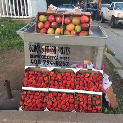 cute neighborhood fruit stand. i asked about the Redwood City address - i think that's where the dad works most days