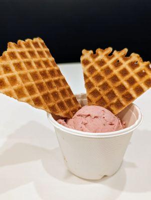 Kid's scoop of Alabama Strawberry with waffle chips