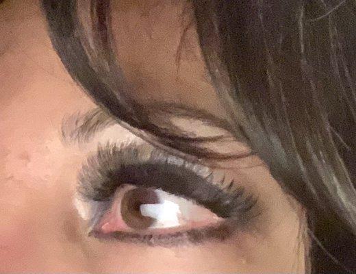 hybrid lashes