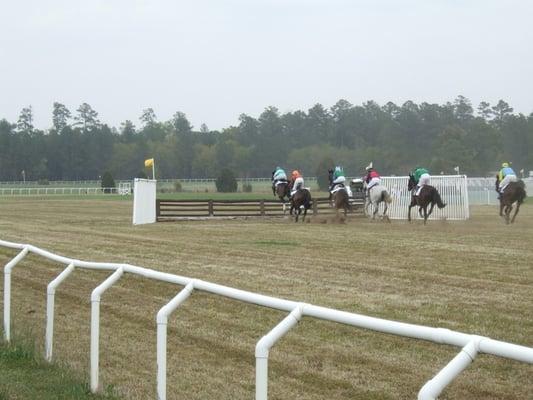 It is a steeplechase horse race