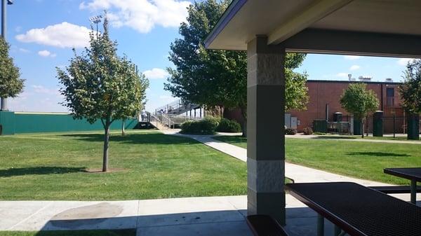 Nice little shady path to the building