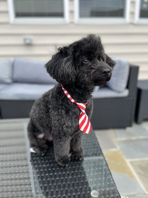 I'm dying over the tie she put on him. He just looks so cute!