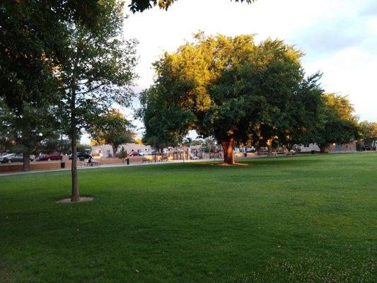 Spacious grass area.