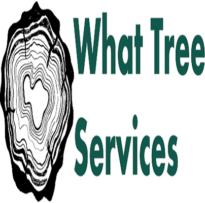 What Tree Services