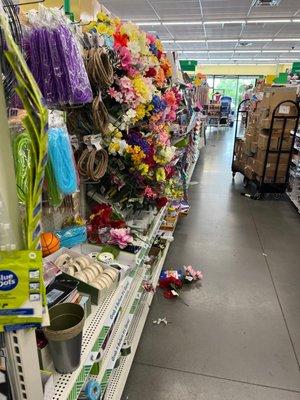 Dollar Tree