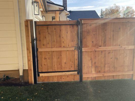 Cedar fence