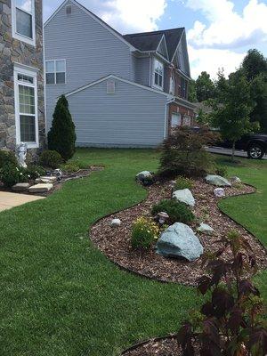 beautiful zenith zoysia installed by end of the day!  Incredibly instant carpet of lawn! Pure happiness