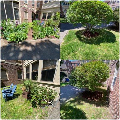 Mulch Installation/Bed Cleanup