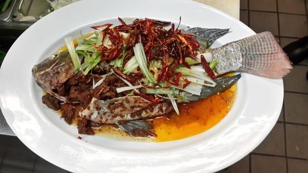 Steamed Fish and Lamb