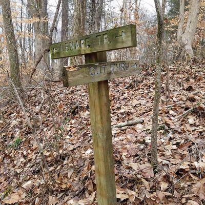 short cut trail through Lenape Trail