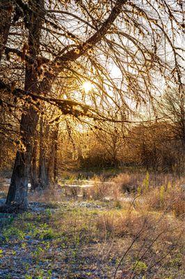 Frio Pecan Farm Log Cabins & Rv Park