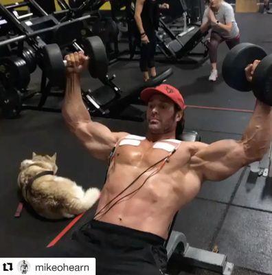 Mike O'hearn going through a performance enhancement training session. Increase muscle size, strength, performance and flexibility.