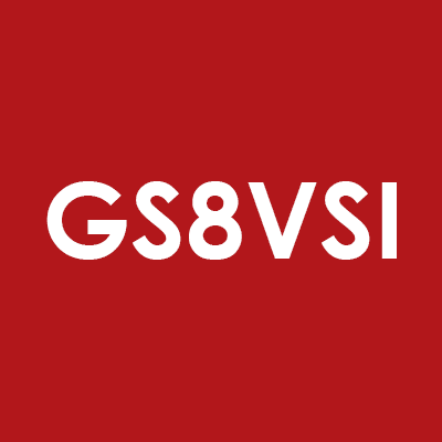 GS8 Virtual Security International